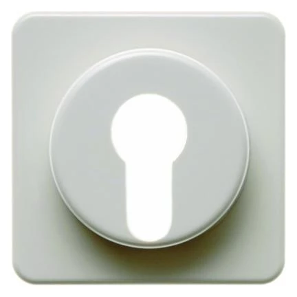 артикул 151912 название Berker Центральная панель для замочных выключателей/кнопок цвет: белый, с блеском Влагозащищенный ск